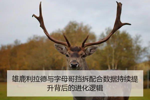 雄鹿利拉德与字母哥挡拆配合数据持续提升背后的进化逻辑