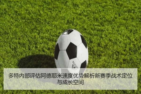 多特内部评估阿德耶米速度优势解析新赛季战术定位与成长空间（kaiyun）